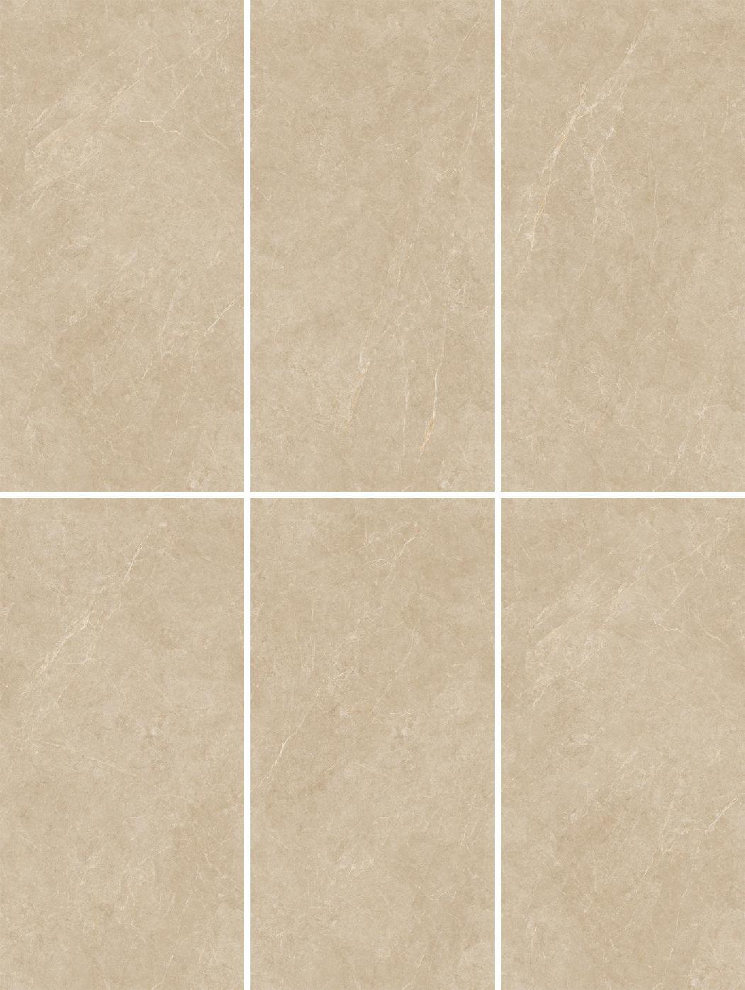 Fatong 600*1200MM Full Polished Marble Tiles FJS61202