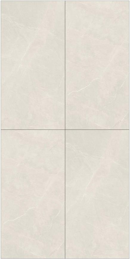 Fatong 600*1200MM Rustic Matt Porcelain Tiles FTJ61222L