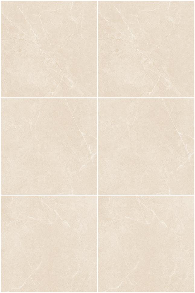 Fatong 800*800MM Honed Porcelain Soft Matt Tiles FJS8801M