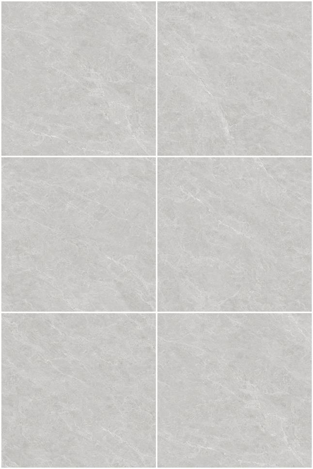 Fatong 800*800MM Honed Porcelain Soft Matt Tiles FJS88048