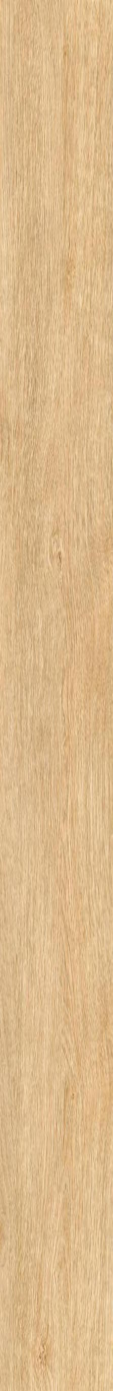 Fatong 250*1500MM Matt Finish Wooden Tiles FHH2515712