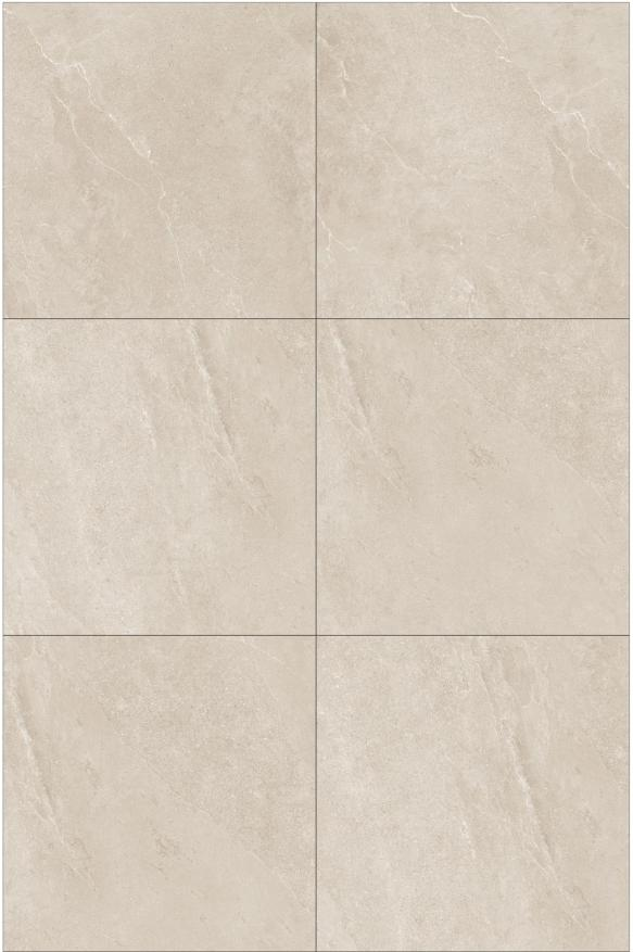 Fatong 600*600MM Rustic Marble Tiles FTJ6613L