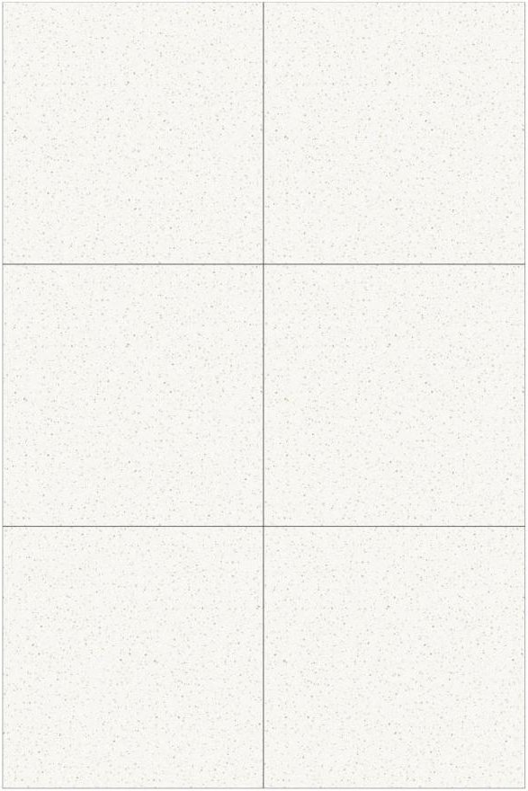 Fatong 600*600MM Rustic Marble Tiles FTJ6601