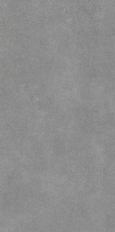 Fatong 900*1800MM Rustic Matt Porcelain Tiles FT953