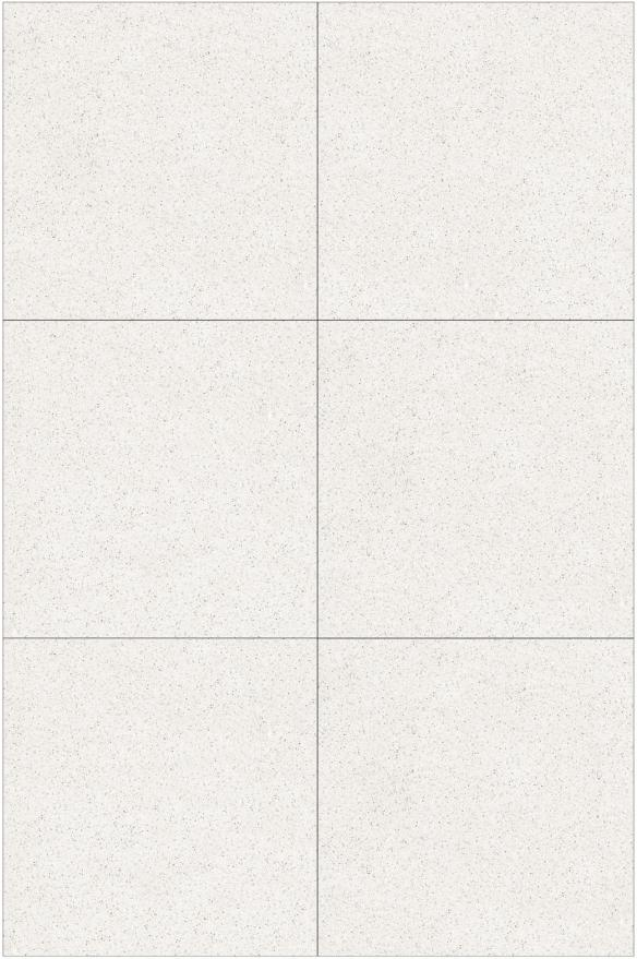 Fatong 600*600MM Rustic Marble Tiles FTJ6602