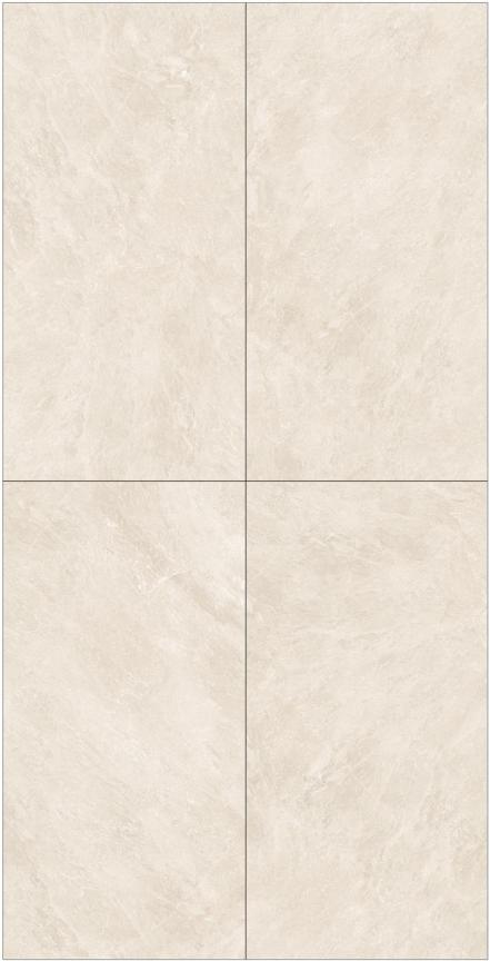 Fatong 600*1200MM Rustic Matt Porcelain Tiles FTJ61205