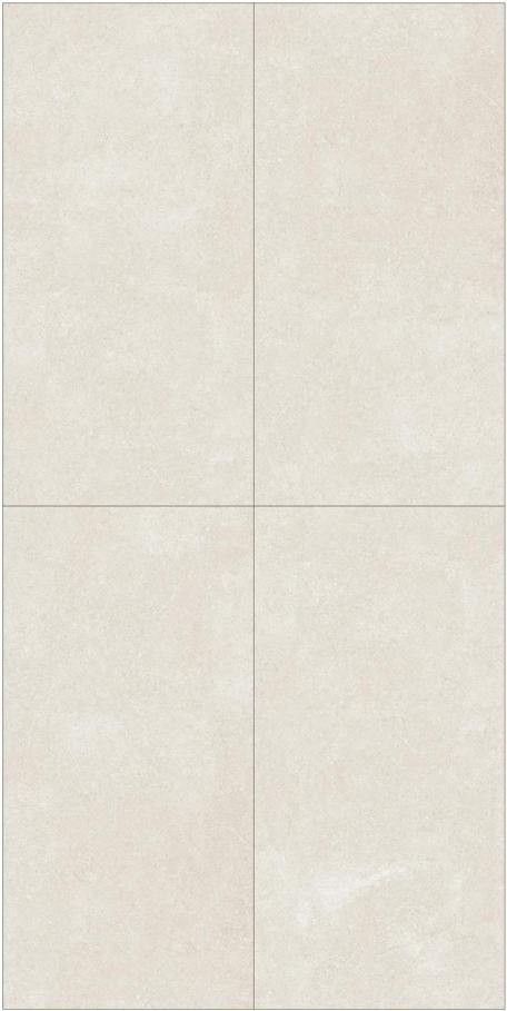 Fatong 600*1200MM Rustic Matt Porcelain Tiles FTJ61209L