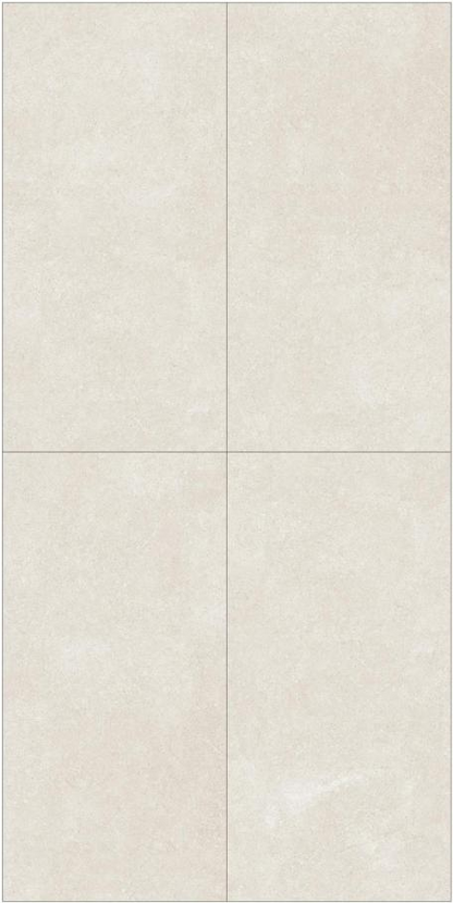 Fatong 600*1200MM Rustic Matt Porcelain Tiles FTJ61209L