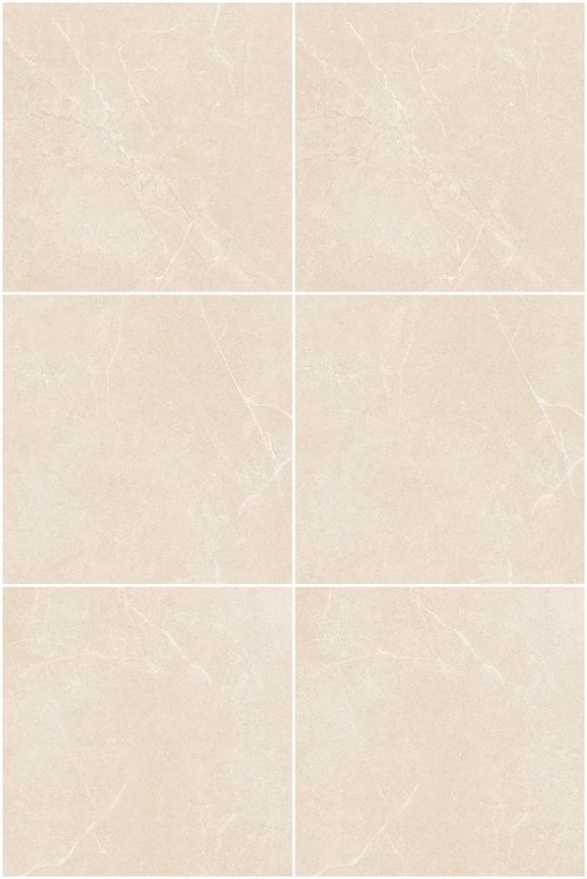 Fatong 800*800MM Honed Porcelain Soft Matt Tiles FJS8801M