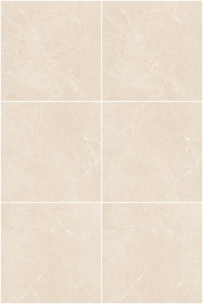 Fatong 800*800MM Honed Porcelain Soft Matt Tiles FJS8801M