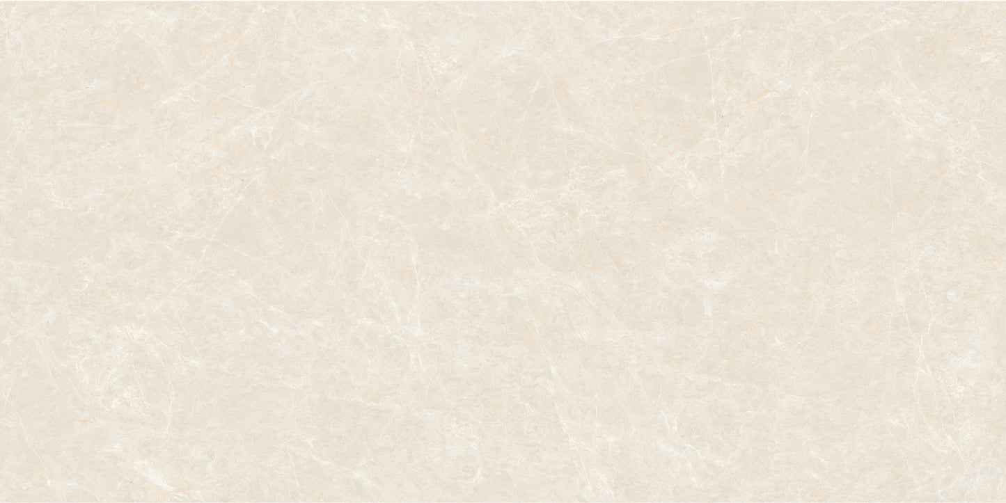 Fatong 600*1200MM Rustic Matt Porcelain Tiles FJH612248