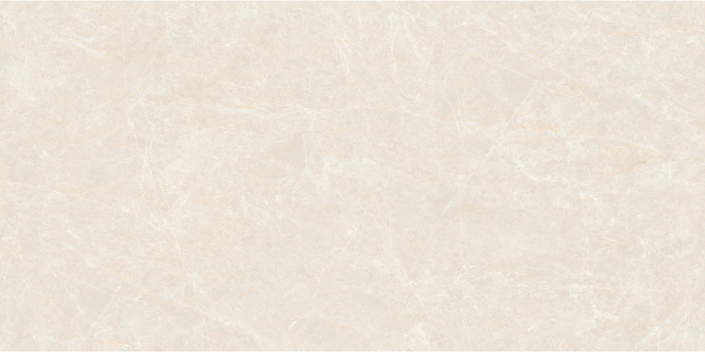 Fatong 600*1200MM Rustic Matt Porcelain Tiles FJH612248