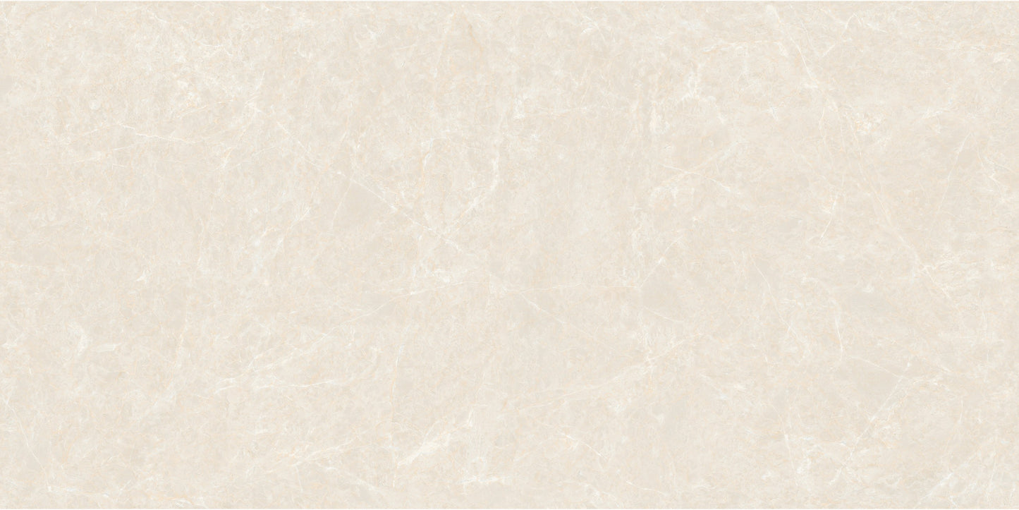 Fatong 600*1200MM Rustic Matt Porcelain Tiles FJH612248