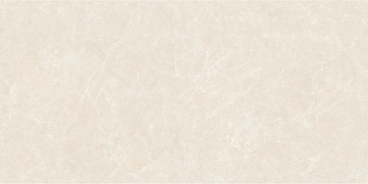 Fatong 600*1200MM Rustic Matt Porcelain Tiles FJH612248