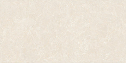 Fatong 600*1200MM Rustic Matt Porcelain Tiles FJH612248