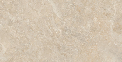 Fatong 600*1200MM Rustic Matt Porcelain Tiles FTJ612255