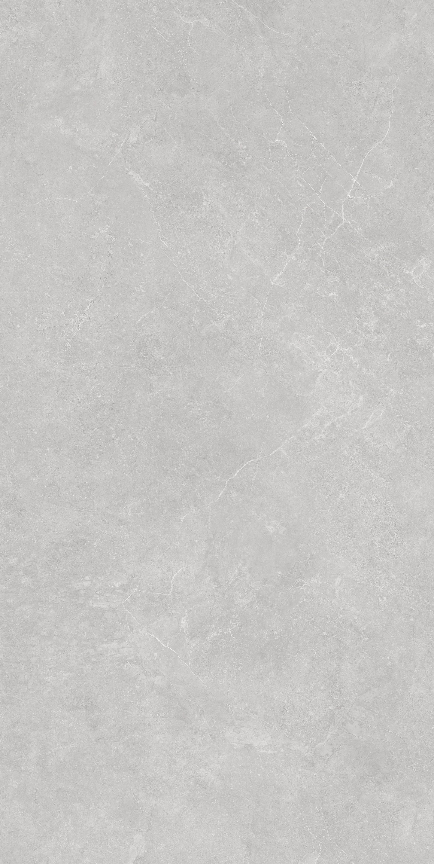 Fatong 900*1800MM Rustic Matt Porcelain Tiles FJH918237