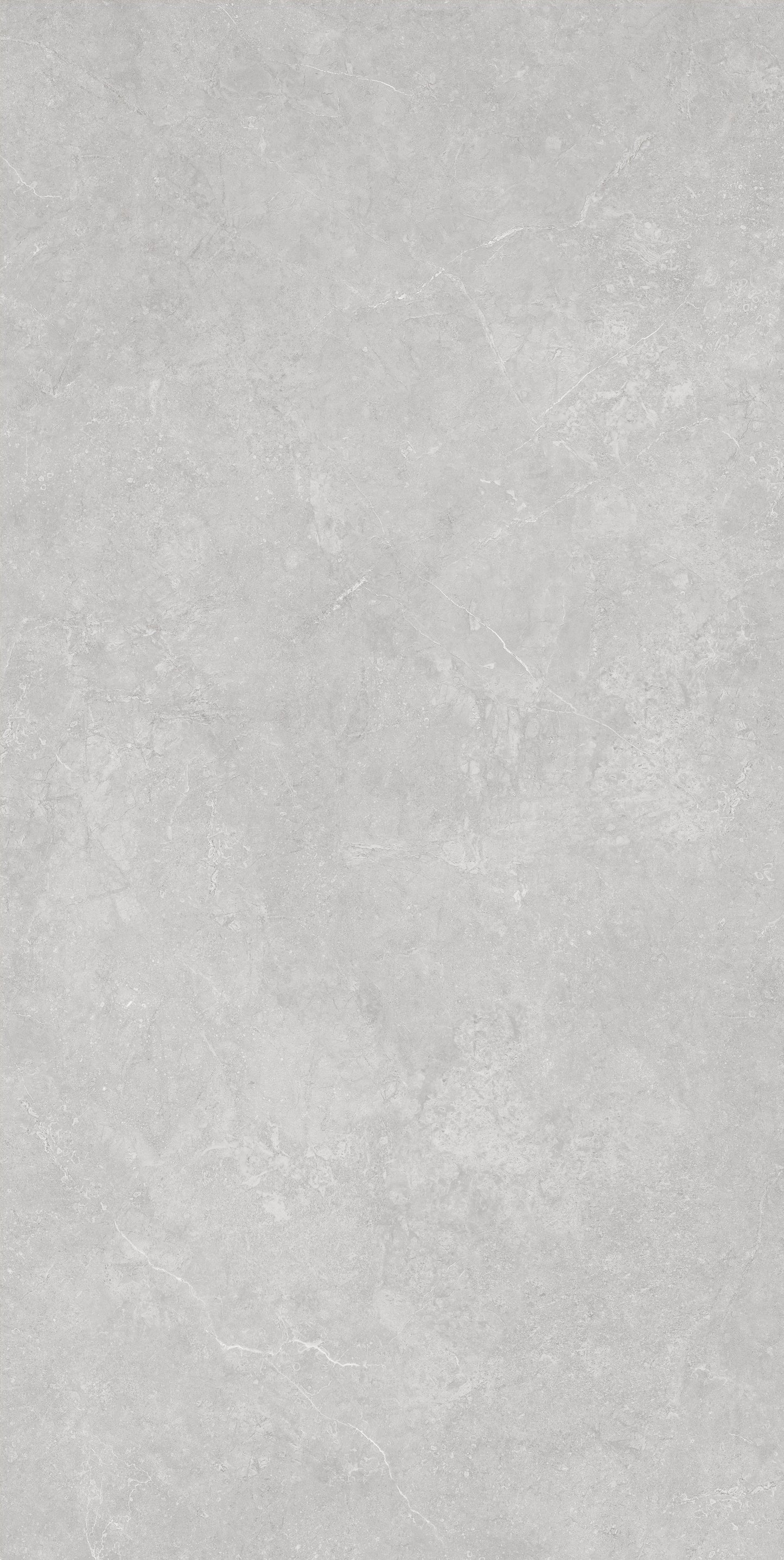 Fatong 900*1800MM Rustic Matt Porcelain Tiles FJH918237