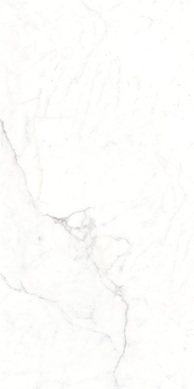 Fatong  900*1800 MM Glossy Finish Marble Tiles  FJS918063